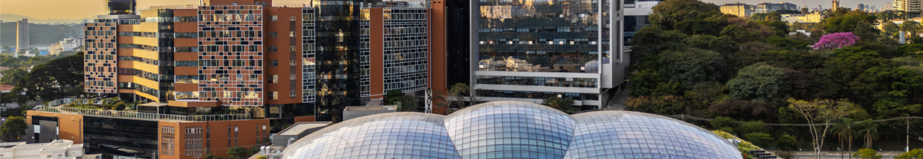 Bruna Danielle Aparecida Bernardi