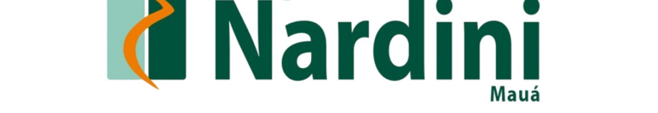 Viviane Moura Santos