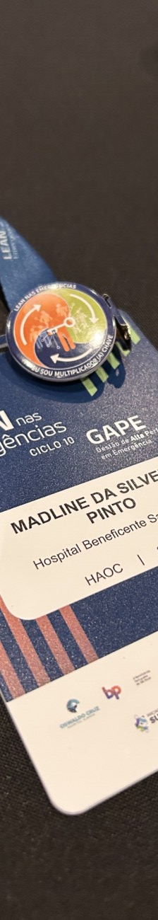 Madline da Silveira Pinto