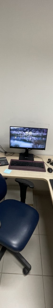 Bruno Lopes Da Silva