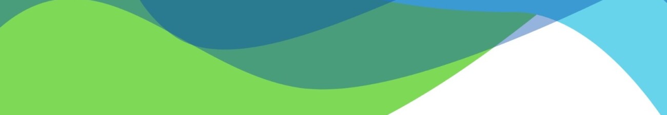 Louany Carneiro Da Rocha Gomes