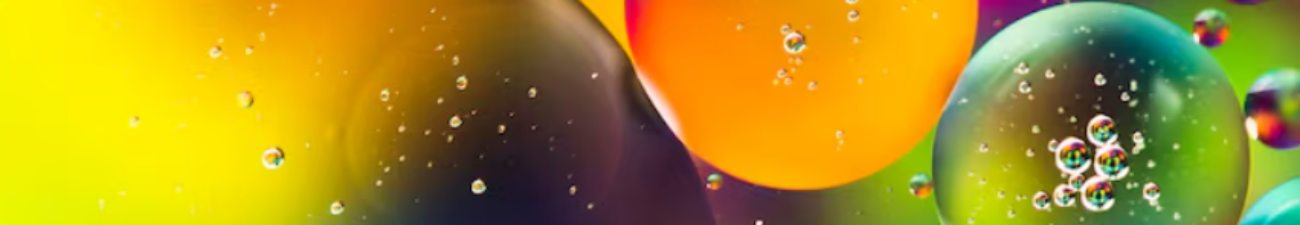 Bianca Pereira Pacheco