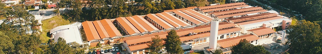 Thiago Cesar de Andrade